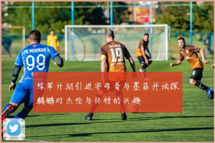 绿军计划引进字母哥与墨菲并试探鹈鹕对杰伦与怀特的兴趣