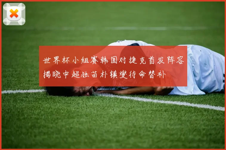 世界杯小组赛韩国对捷克首发阵容揭晓中超独苗朴镇燮待命替补