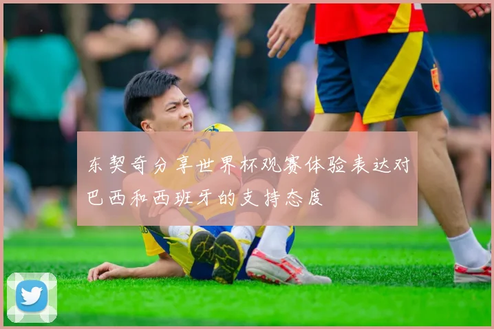 东契奇分享世界杯观赛体验表达对巴西和西班牙的支持态度